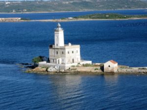 Dolphin watching tour in Olbia and Golfo Aranci
